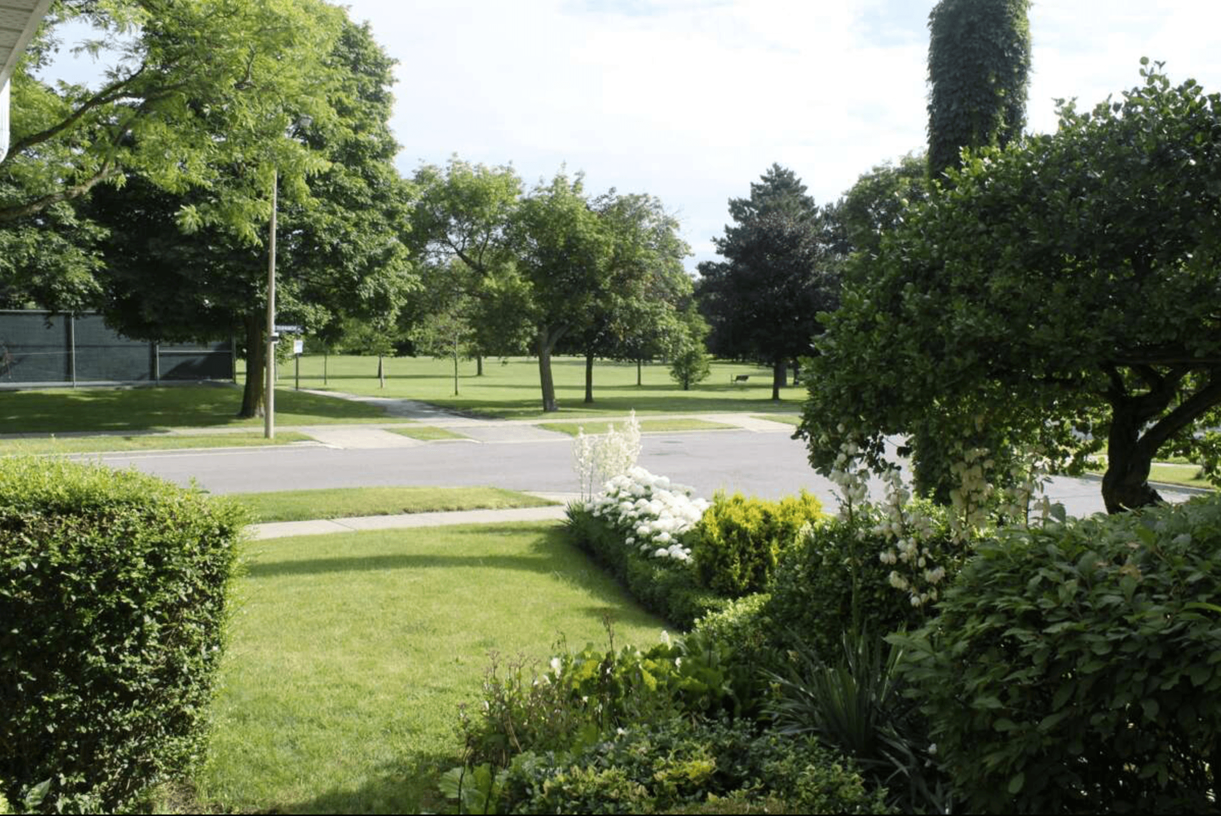 Lush green front yard with white flowers overlooking a quiet street and a large park.