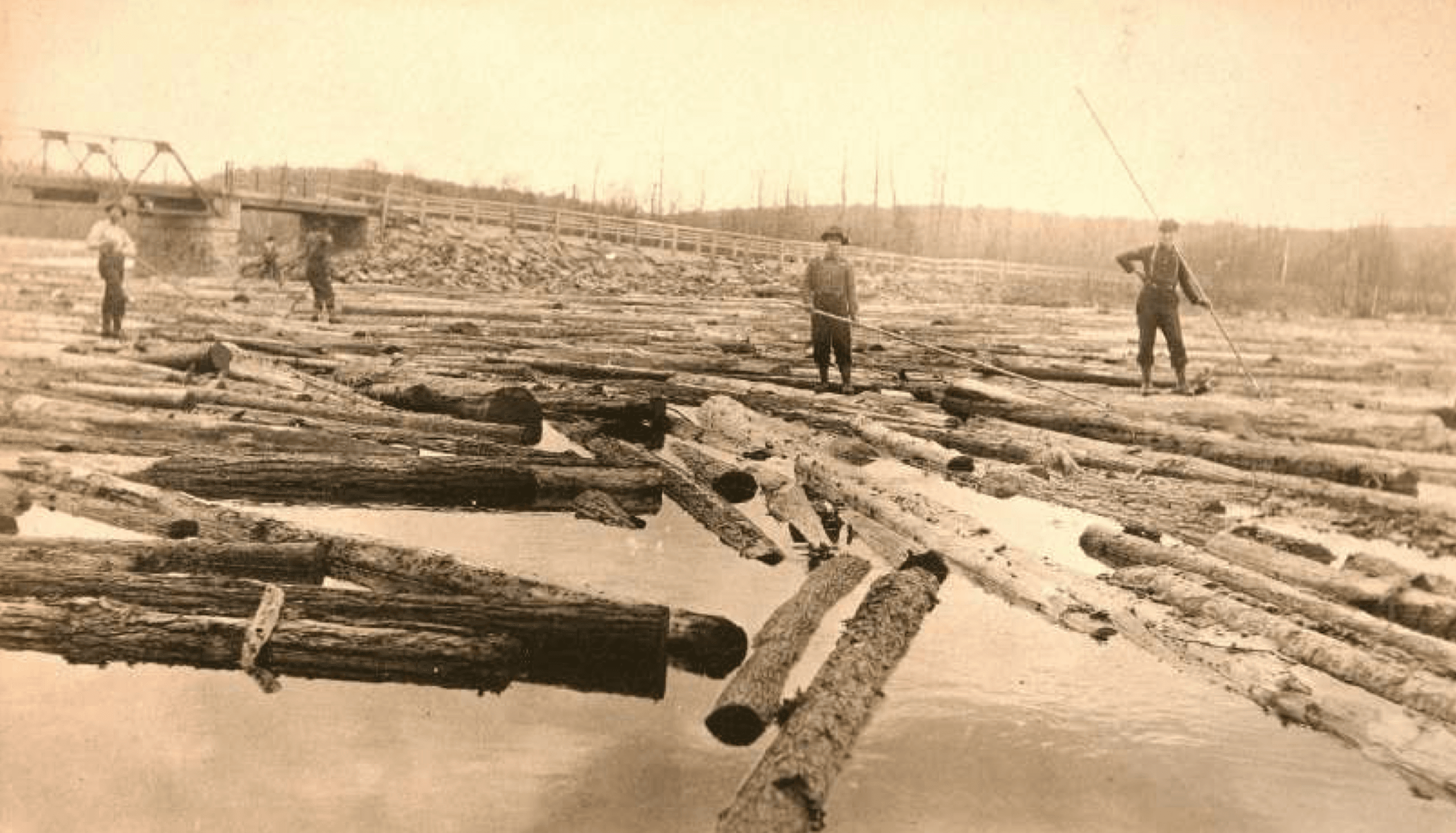 Loggers with long poles guide floating timber down a river near a bridge, sepia.