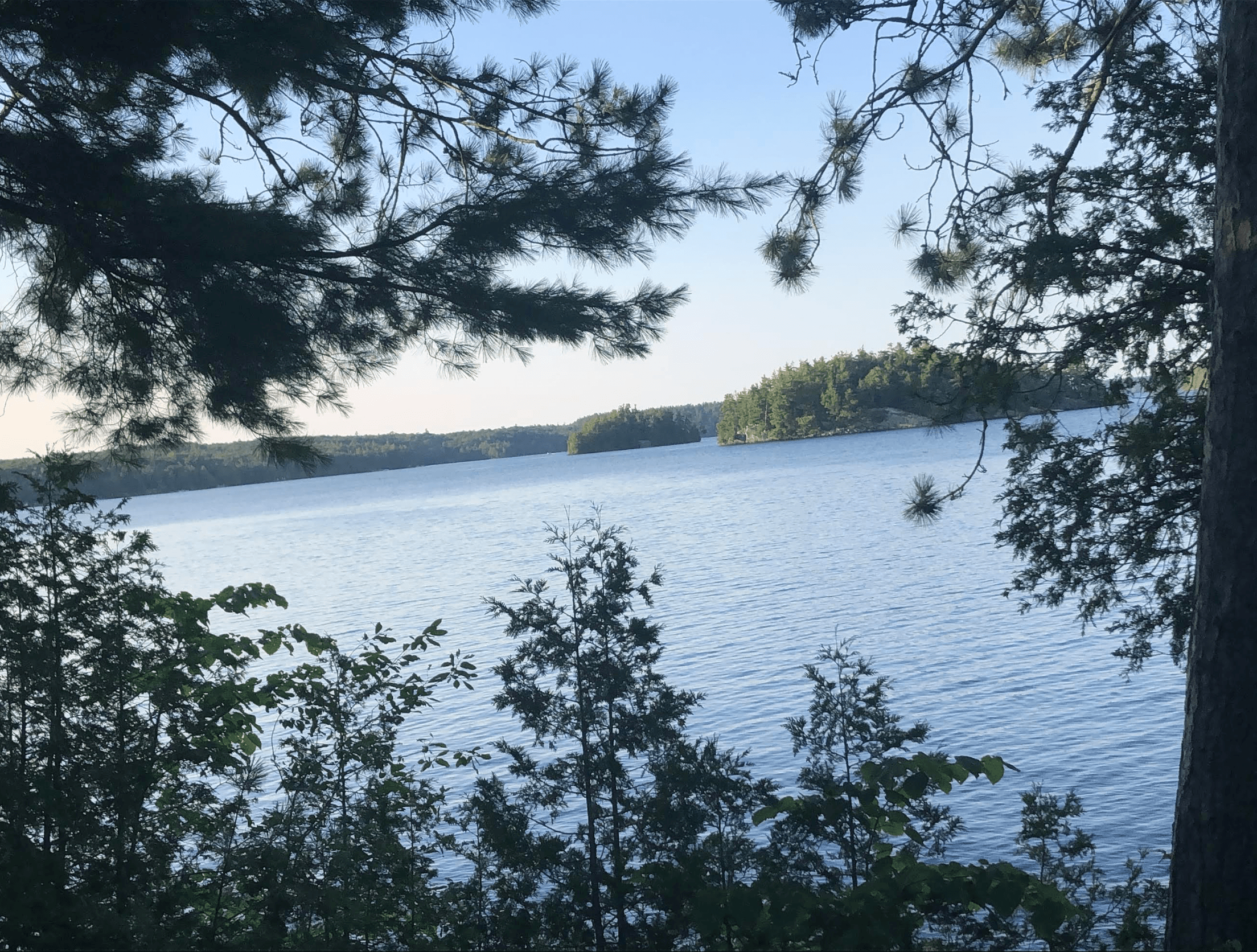 Serene blue lake with forested islands, framed by pine branches under a clear sky.